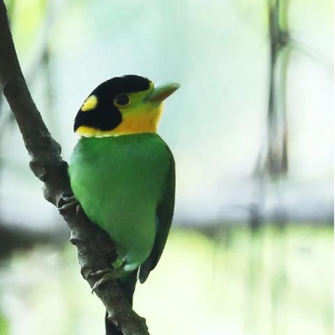 初中地理辅导软件的长尾关键词有什么