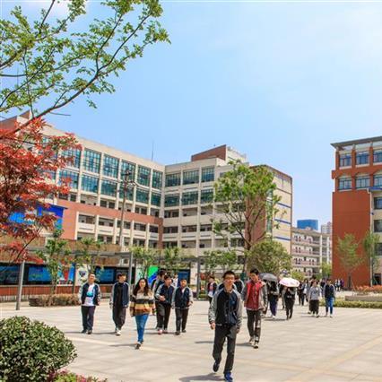 武汉市石牌岭有什么学校