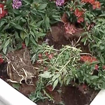 大连市政网的相关长尾关键词有哪些