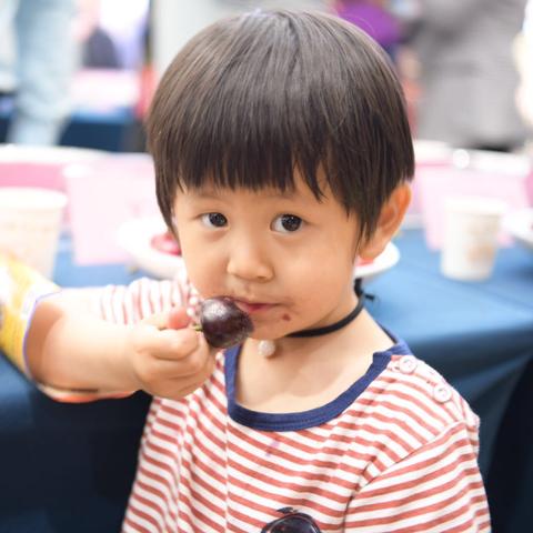 山东省临沂市哪里有樱桃