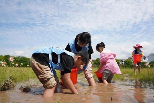 千家万户进田园共享乡村好风光