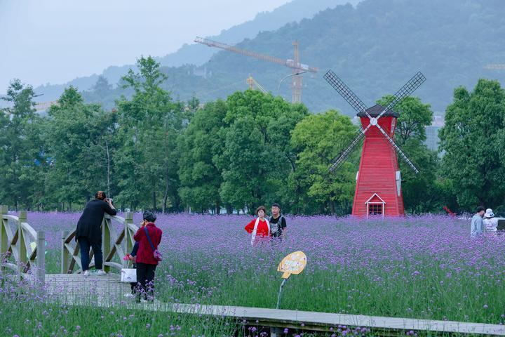 宁波鲜花批发市场,浙商和粤商闽商三个商帮?