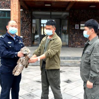 吉林对比河南的相关长尾关键词有哪些