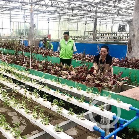 潍坊市鲈鱼钓点地址在哪里