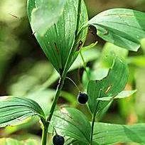 苏州市常熟市管子加工机床的长尾关键词有什么