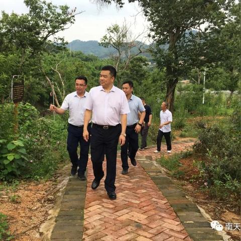 钦州原属南宁市哪个区