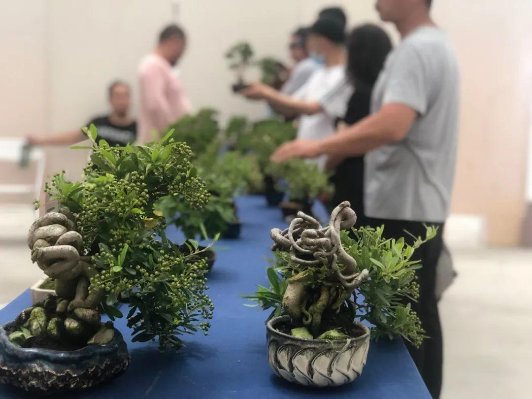 网红为app拉新(红人装双十二有什么活动)