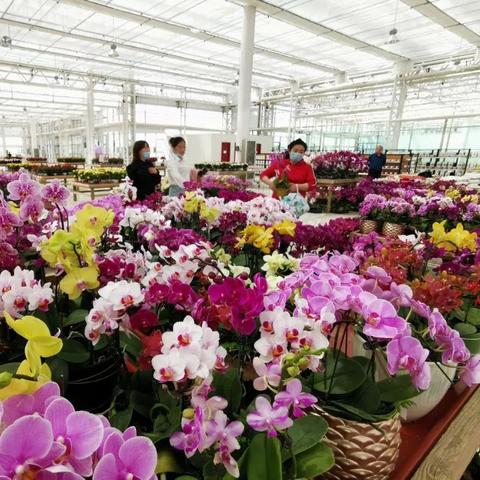 兰州卡丁车哪里可以玩？