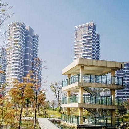 河南沃德食品的相关长尾关键词有哪些