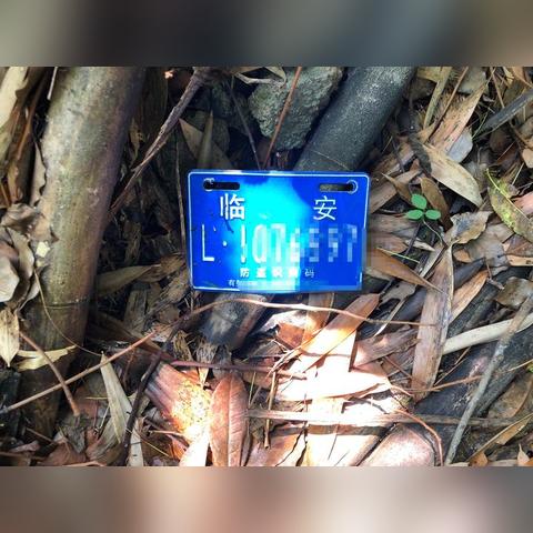 什么车牌是杭州市的车