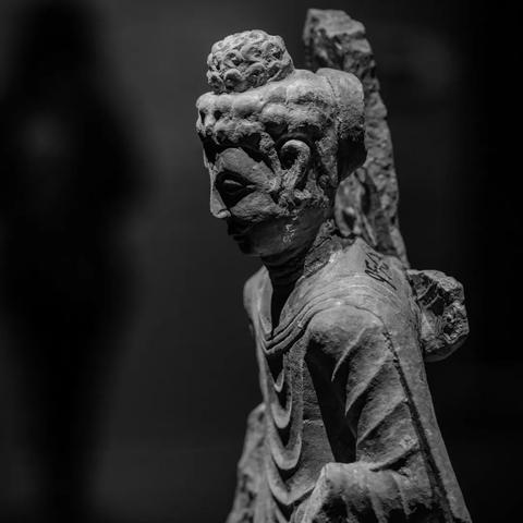 成都市哪里买菩提