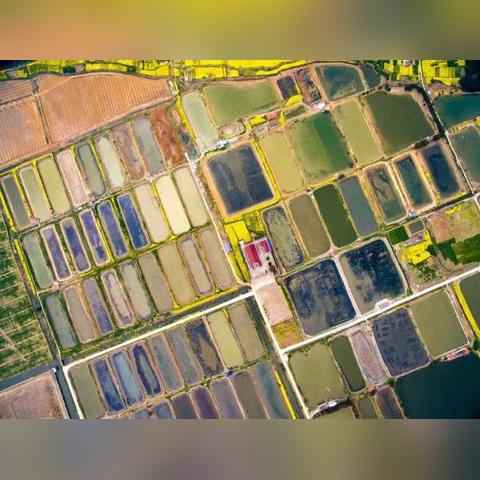 无锡市附近钓鱼天堂在哪里