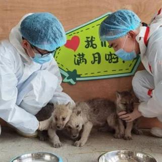 哈尔滨哪里有驾驶员自助体检机？