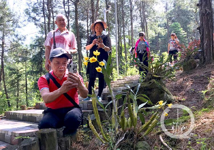【重庆渝北区疫情最新情况
 /重庆渝北区疫情最新情况通报】