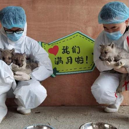 哈尔滨极地馆冷吗相关长尾关键词有哪些