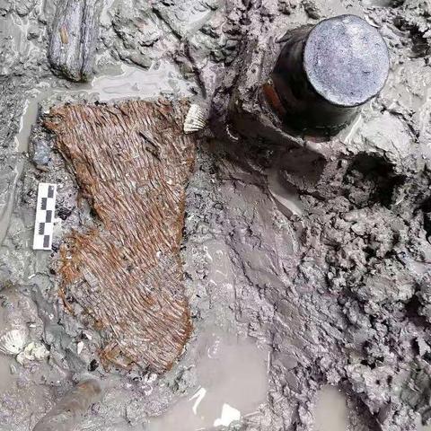 南宁贝丘遗址的相关长尾关键词有哪些