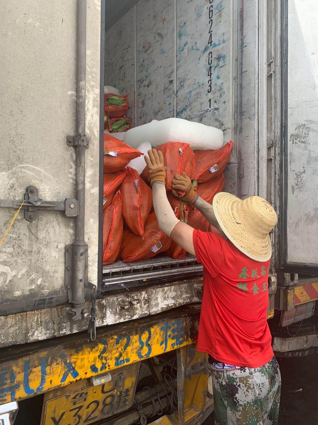 返京人员进京最新规定
 /返京人员进京最新规定政策