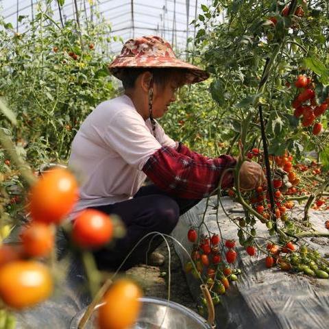 宁波市鄞州区有什么物流