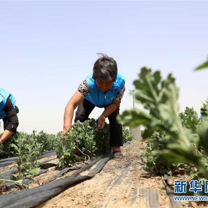 石家庄市什么皇县