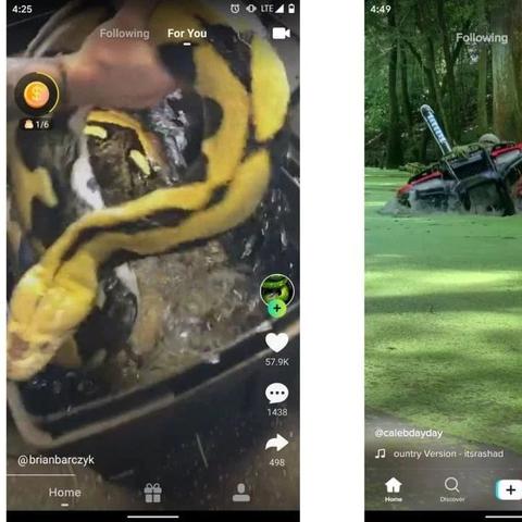zynn和tiktok 衍生的长尾关键词有哪些 