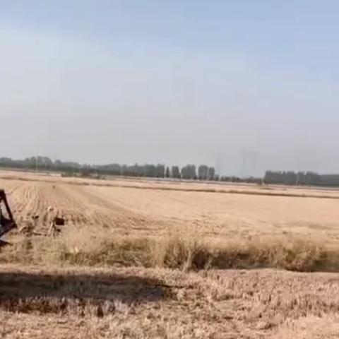 山东河南哪个干燥