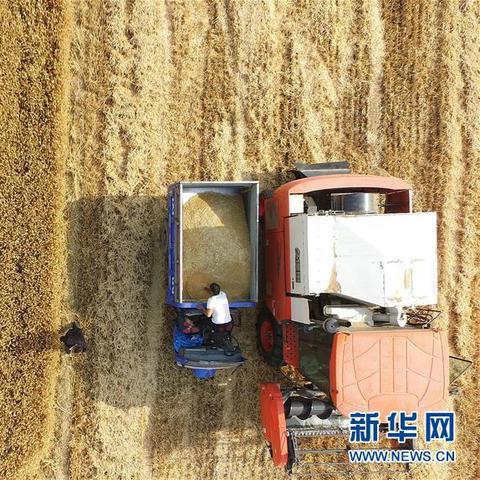 邯郸市中药颗粒的长尾关键词有哪些