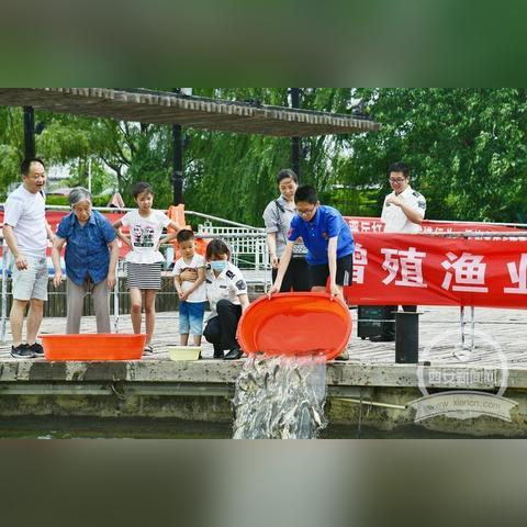 再西安哪买鱼苗？