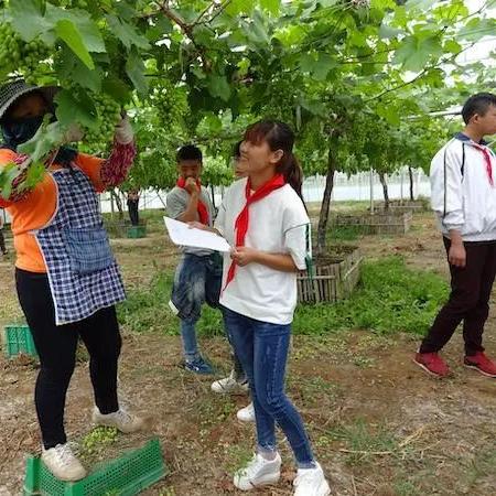 上海瑞华果园(瑞华果园水果可以摘吗)