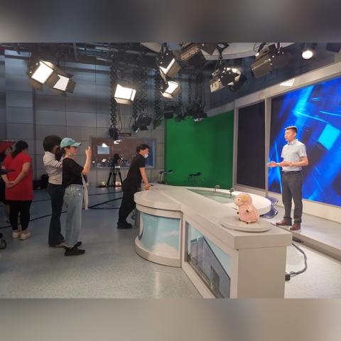 汽车科普电影有哪些