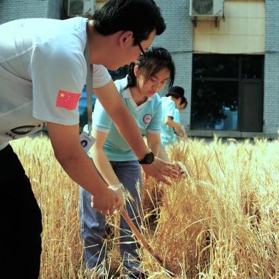 济南2016初中排名相关长尾关键词有哪些 济南2016初中排名相关长尾关键词有哪些