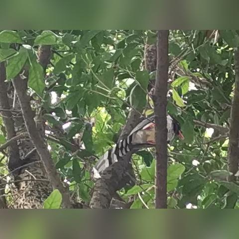 贵阳支援武汉的长尾关键词有哪些