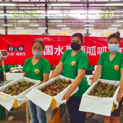 跨境直转多久可以到