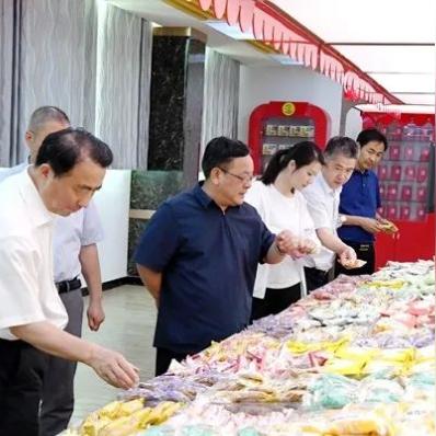 河南省遂平县是属于哪个市？