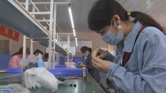菏泽市成武县：返乡创业激活乡村经济