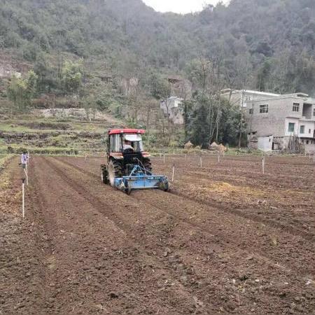 宁波市什么挖机最多