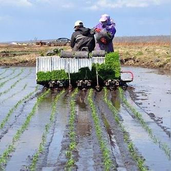 无锡市东港房产信息的长尾关键词有什么