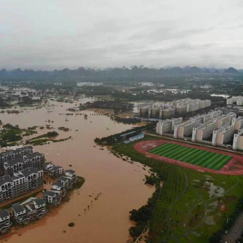 桂林市铲车操作证哪里考