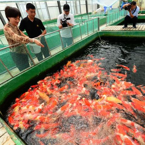 济南市买门面房多少钱