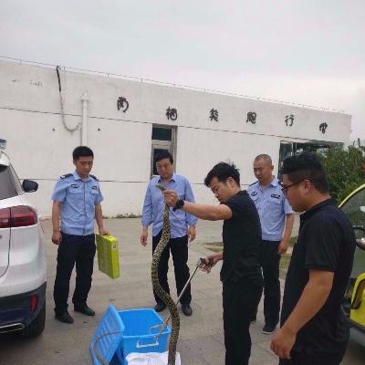 萧县庄里天气预报实时的长尾关键词有哪些