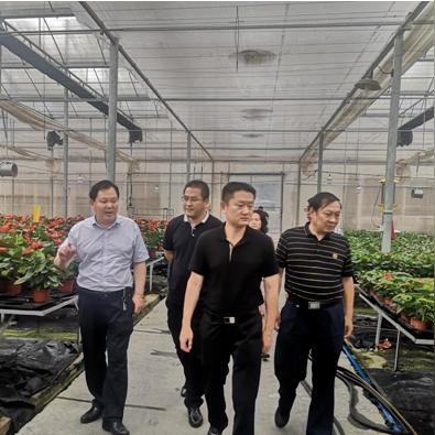 佛山市二手花盆市场地址的长尾关键词有什么