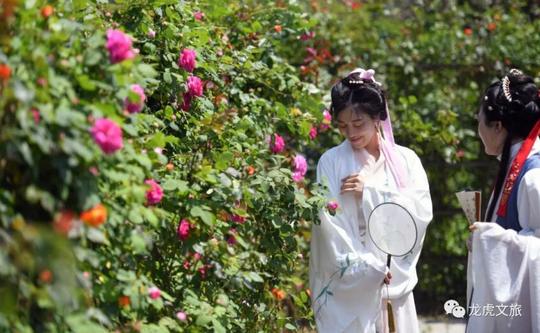 山脚下的赛事、能吃的玫瑰、“码”上的西瓜——乡村，这样变形