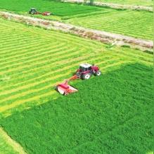 兰州国企待遇排名？