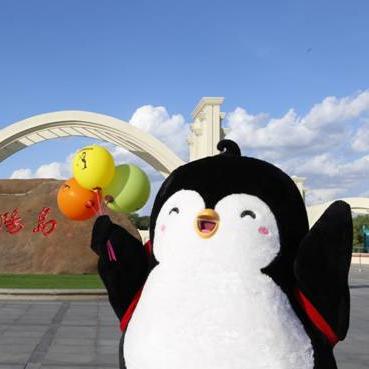 哈尔滨 大鹅相关长尾关键词有哪些