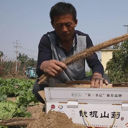 菏泽市单县有多少个镇