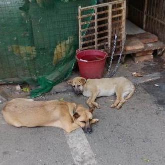 长沙市文明中学怎么样啊