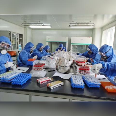 商务部：中澳双方主管部门近期已在进行技术沟通，以解决澳龙虾输华检验检疫问题