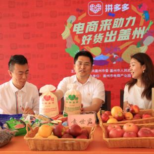 辽宁省最好的李子品种？