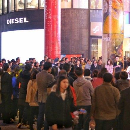 杭州最大的树是哪里的？