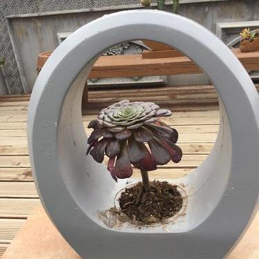 兰州市汽车摆件店在哪里