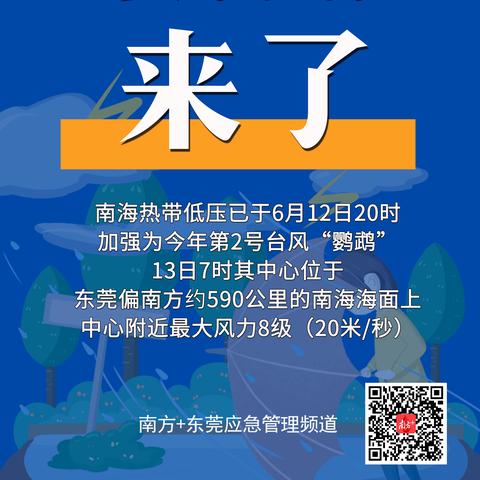 东莞市养鹦鹉怎么办证